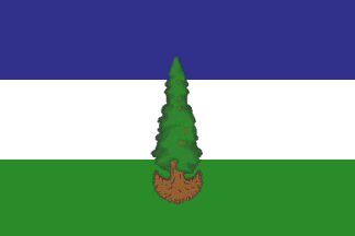 [The Early Doug - Conifer Tree flag of Republic of Cascadia]